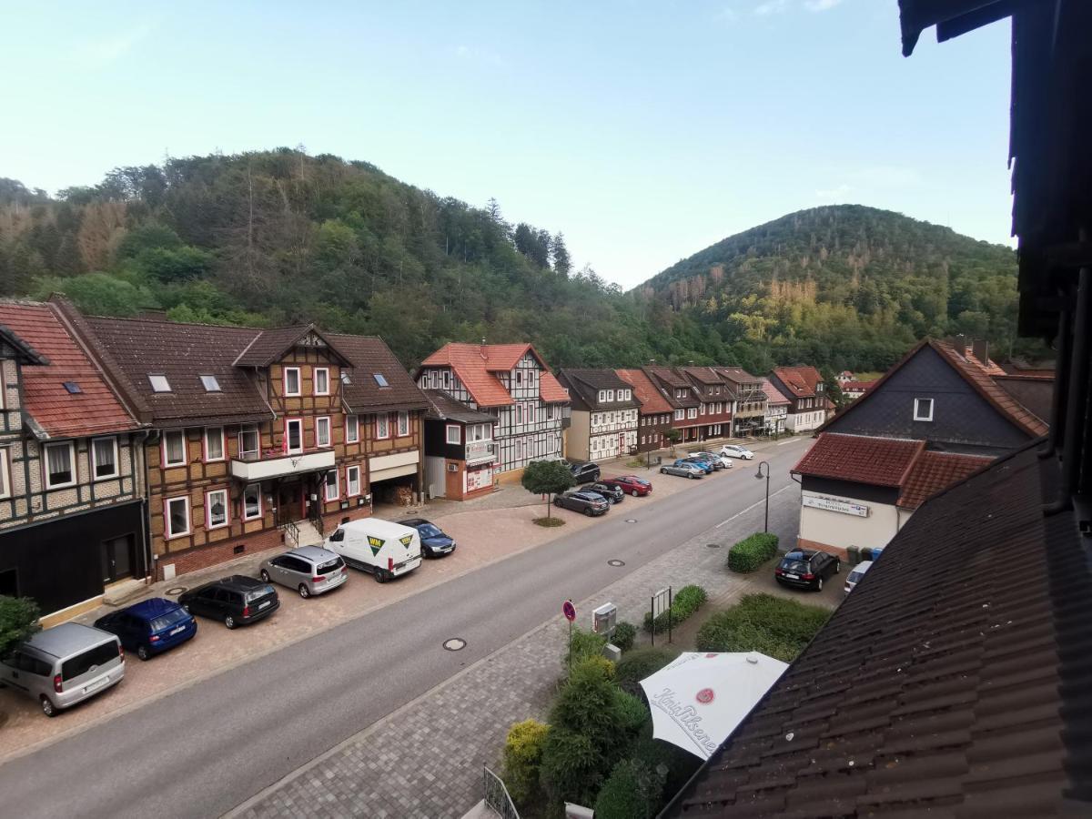 Hotel And Restaurant Bergschloesschen Zorge Exterior photo