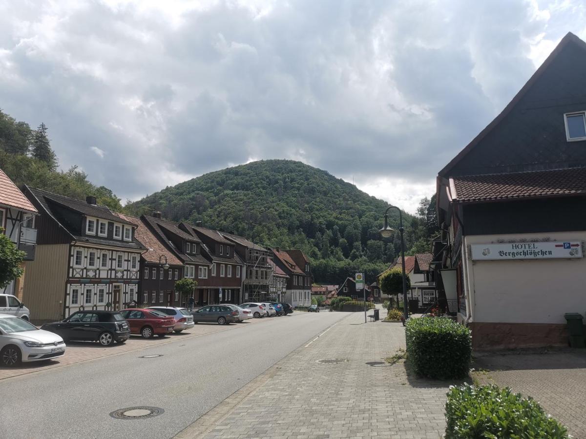 Hotel And Restaurant Bergschloesschen Zorge Exterior photo